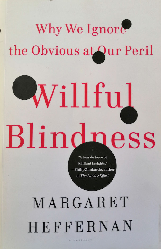 Willful-Blindness Book Image