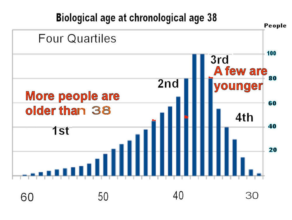biological age, at age 38 Research Image