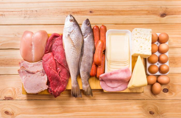 Animal based foods