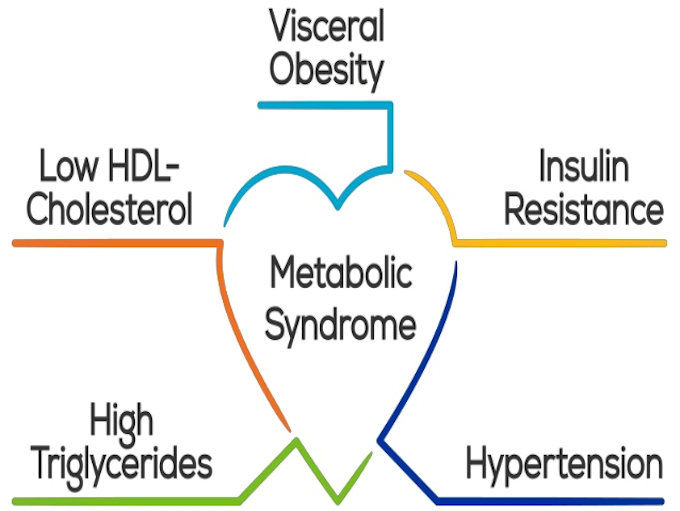 Metabolic Syndrome 5 Key Features Twitter Image