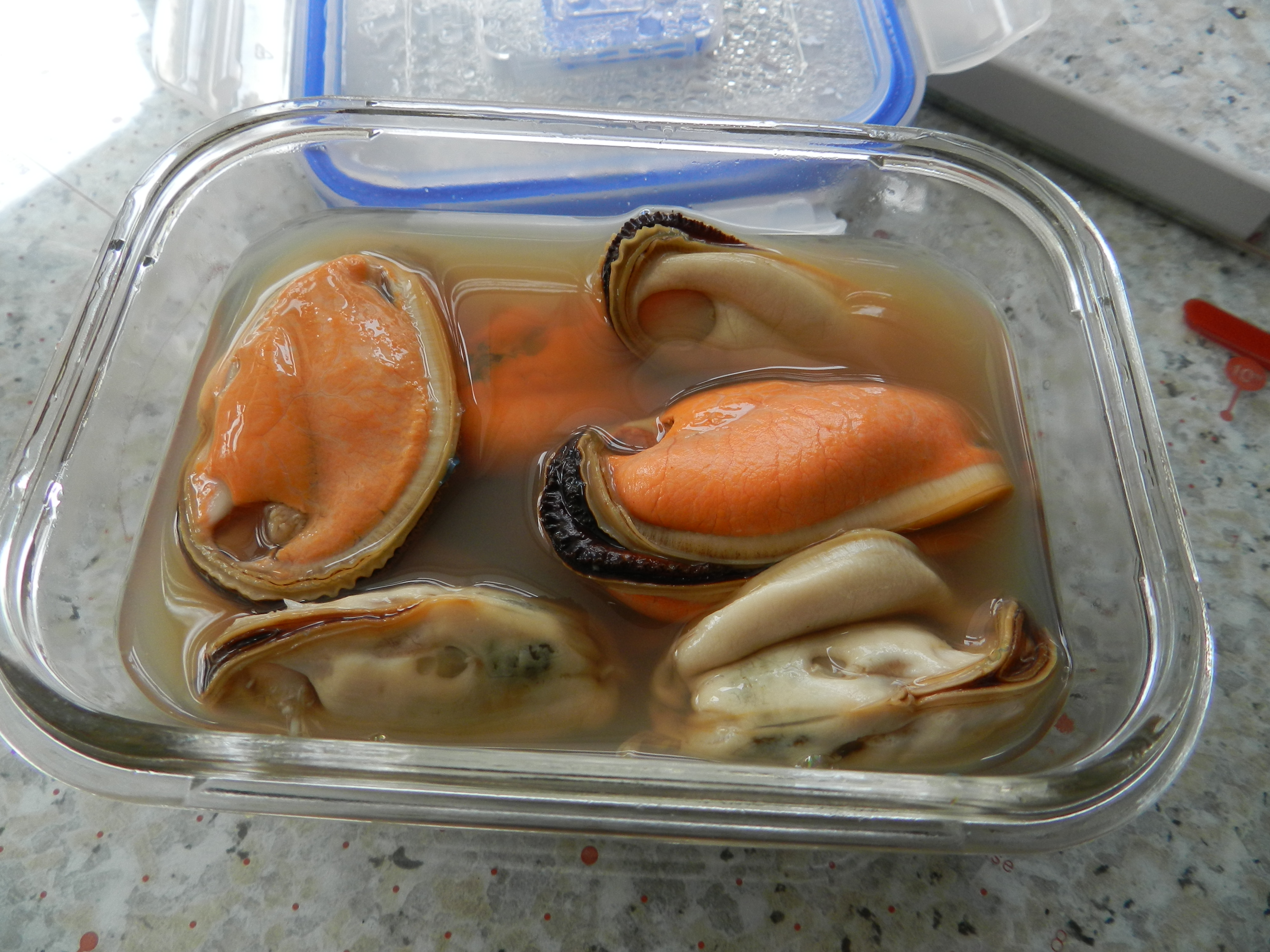 Muscles