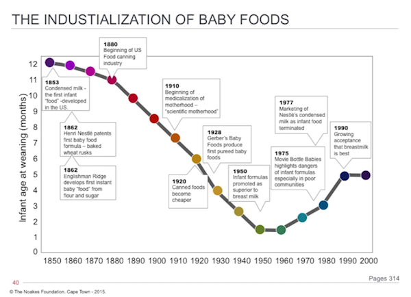 Baby Food Time Line Baby Food Chart