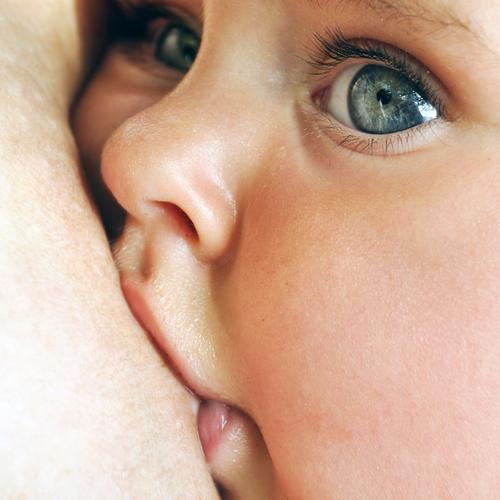 Baby on Breast