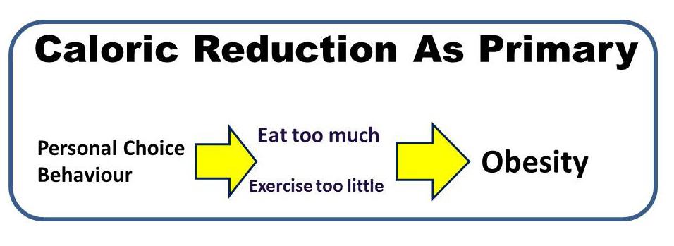 Calorie Theory